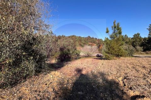 Helårsgrund i Tomar, Santarem, Tomar - € 23.000 | Ref: T 312 - foto 7
