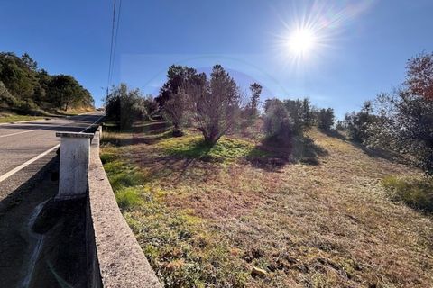 Helårsgrund i Tomar, Santarem, Tomar - € 23.000 | Ref: T 312 - foto 8
