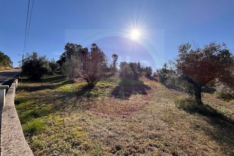 Helårsgrund i Tomar, Santarem, Tomar - € 23.000 | Ref: T 312 - foto 9