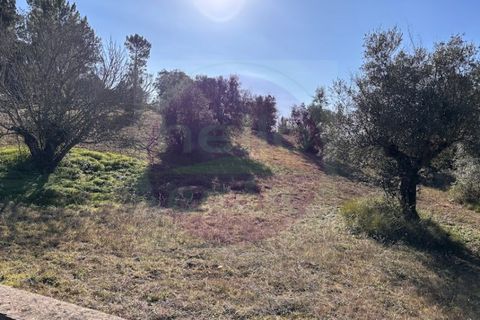 Helårsgrund i Tomar, Santarem, Tomar - € 23.000 | Ref: T 312 - foto 10