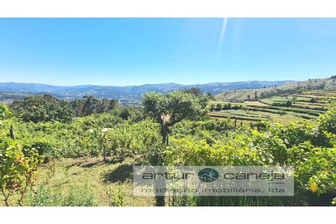 Landejendom i Arcos de Valdevez, Viana do Castelo, Arcos de Valdevez - € 425.000 | Ref: 7136 - foto 6