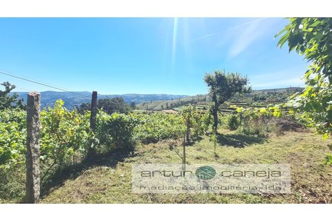 Landejendom i Arcos de Valdevez, Viana do Castelo, Arcos de Valdevez - € 425.000 | Ref: 7136 - foto 7