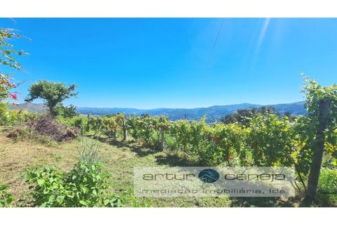 Landejendom i Arcos de Valdevez, Viana do Castelo, Arcos de Valdevez - € 425.000 | Ref: 7136 - foto 11
