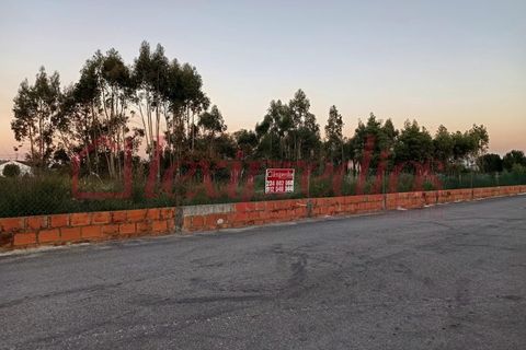 Helårsgrund i Estarreja, Aveiro, Estarreja - € 120.000 | Ref: AG 4222 - foto 2