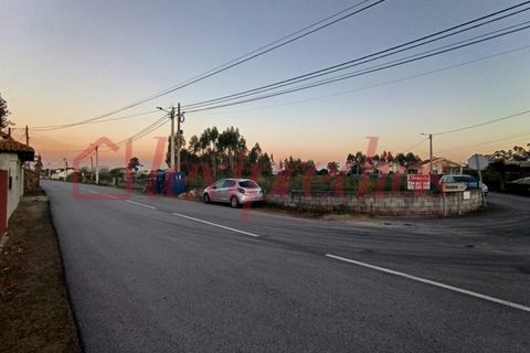 Helårsgrund i Estarreja, Aveiro, Estarreja - € 120.000 | Ref: AG 4222 - foto 3