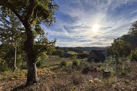 Villa i Neuvic, Correze, Neuvic - € 40.000 | Ref: CC-4577 - foto 3