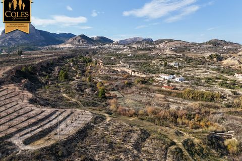 Cortijo i Velez-Blanco, Almeria, Velez-Blanco - € 475.000 | Ref: BLA7C02 - foto 37