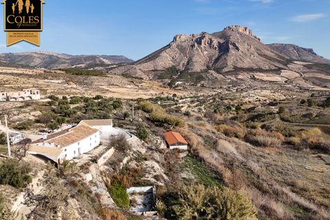 Cortijo i Velez-Blanco, Almeria, Velez-Blanco - € 475.000 | Ref: BLA7C02 - foto 1