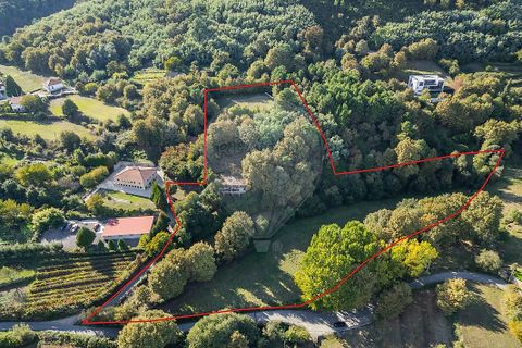 Farm i Vila Real, Vila Real, Vila Real - € 360.000 | Ref: 123331135-80 - foto 1