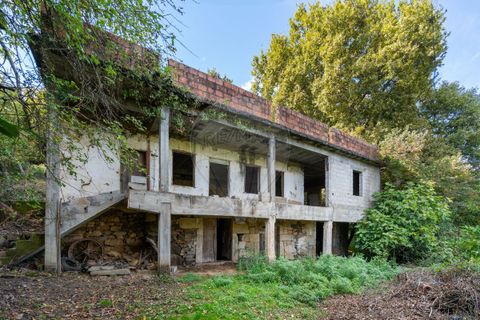 Farm i Vila Real, Vila Real, Vila Real - € 360.000 | Ref: 123331135-80 - foto 2