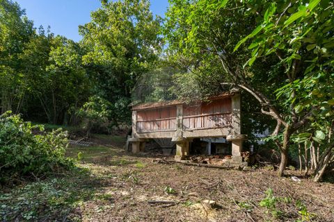 Farm i Vila Real, Vila Real, Vila Real - € 360.000 | Ref: 123331135-80 - foto 3