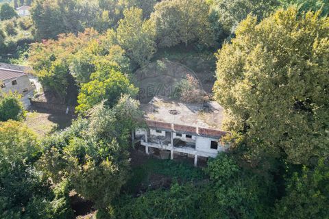 Farm i Vila Real, Vila Real, Vila Real - € 360.000 | Ref: 123331135-80 - foto 5