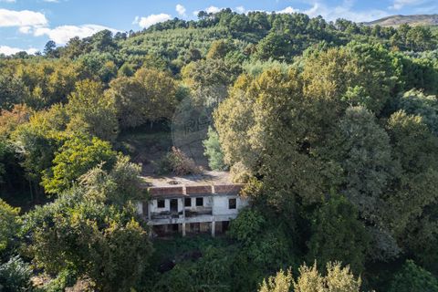 Farm i Vila Real, Vila Real, Vila Real - € 360.000 | Ref: 123331135-80 - foto 6