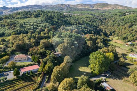 Farm i Vila Real, Vila Real, Vila Real - € 360.000 | Ref: 123331135-80 - foto 7