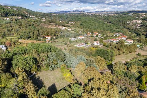 Farm i Vila Real, Vila Real, Vila Real - € 360.000 | Ref: 123331135-80 - foto 9