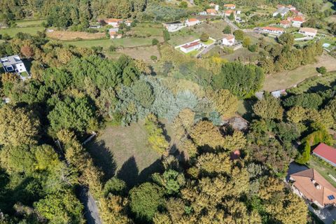Farm i Vila Real, Vila Real, Vila Real - € 360.000 | Ref: 123331135-80 - foto 10