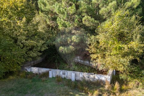Farm i Vila Real, Vila Real, Vila Real - € 360.000 | Ref: 123331135-80 - foto 12