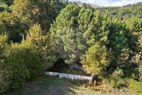 Farm i Vila Real, Vila Real, Vila Real - € 360.000 | Ref: 123331135-80 - foto 13