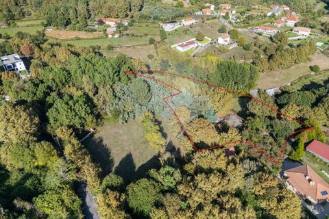 Farm i Vila Real, Vila Real, Vila Real - € 360.000 | Ref: 123331135-80 - foto 11