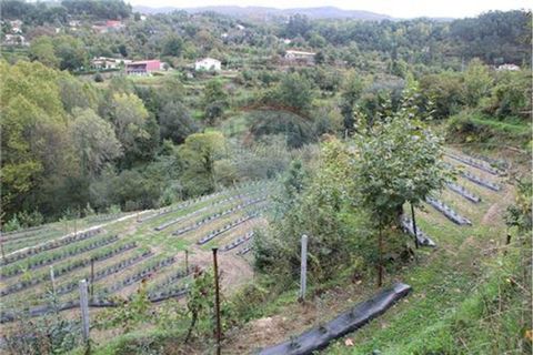 Helårsgrund i Terras de Bouro, Braga, Terras de Bouro - € 50.000 | Ref: 123331056-1019 - foto 1