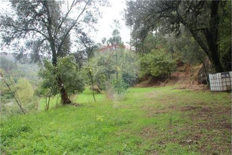 Helårsgrund i Terras de Bouro, Braga, Terras de Bouro - € 50.000 | Ref: 123331056-1019 - foto 2