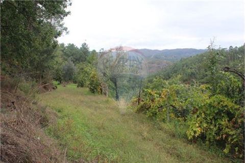 Helårsgrund i Terras de Bouro, Braga, Terras de Bouro - € 50.000 | Ref: 123331056-1019 - foto 3
