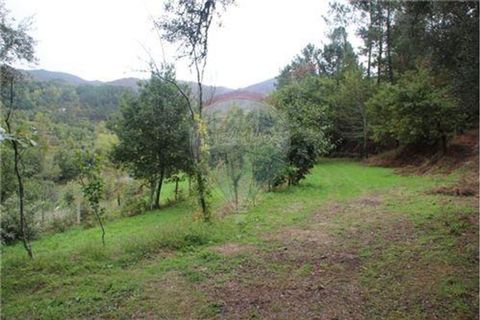Helårsgrund i Terras de Bouro, Braga, Terras de Bouro - € 50.000 | Ref: 123331056-1019 - foto 4