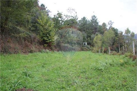 Helårsgrund i Terras de Bouro, Braga, Terras de Bouro - € 50.000 | Ref: 123331056-1019 - foto 5