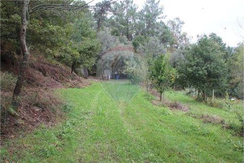 Helårsgrund i Terras de Bouro, Braga, Terras de Bouro - € 50.000 | Ref: 123331056-1019 - foto 6