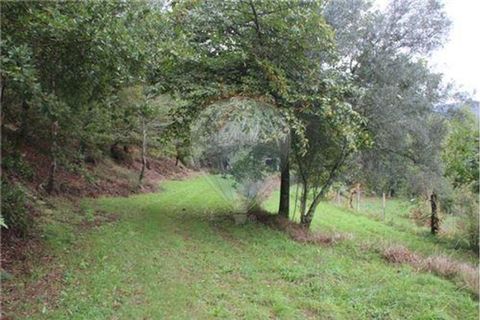 Helårsgrund i Terras de Bouro, Braga, Terras de Bouro - € 50.000 | Ref: 123331056-1019 - foto 7