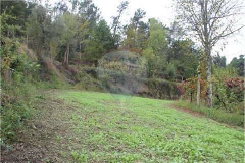 Helårsgrund i Terras de Bouro, Braga, Terras de Bouro - € 50.000 | Ref: 123331056-1019 - foto 8