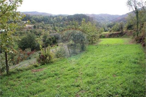 Helårsgrund i Terras de Bouro, Braga, Terras de Bouro - € 50.000 | Ref: 123331056-1019 - foto 9