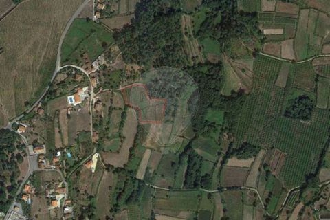 Helårsgrund i Valenca, Viana do Castelo, Valenca - € 66.000 | Ref: 123331212-1 - foto 3