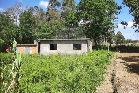 Helårsgrund i Valenca, Viana do Castelo, Valenca - € 35.000 | Ref: 123331212-5 - foto 3