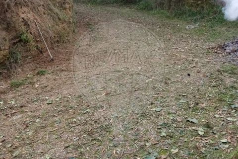 Helårsgrund i Valenca, Viana do Castelo, Valenca - € 19.000 | Ref: 123331212-56 - foto 3