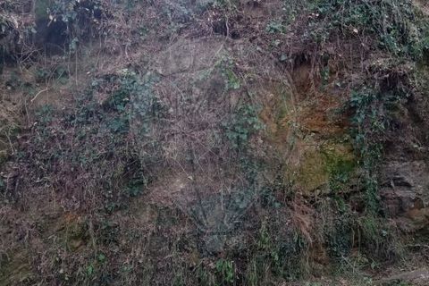 Helårsgrund i Valenca, Viana do Castelo, Valenca - € 19.000 | Ref: 123331212-56 - foto 5