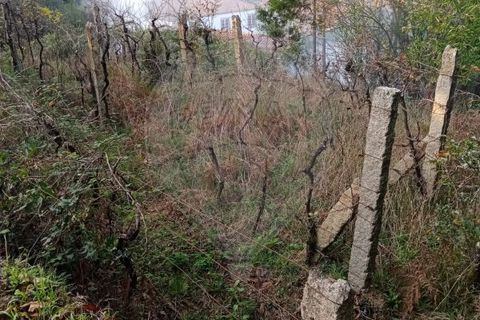 Helårsgrund i Valenca, Viana do Castelo, Valenca - € 19.000 | Ref: 123331212-56 - foto 6