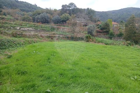 Helårsgrund i Ponte de Lima, Viana do Castelo, Ponte de Lima - € 69.000 | Ref: 123331167-472 - foto 3