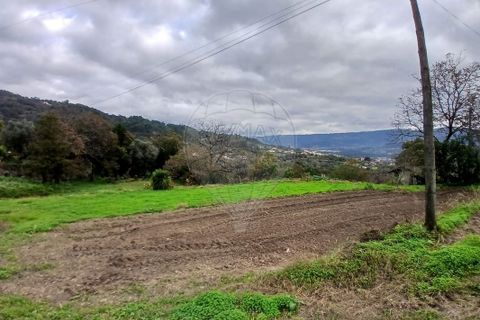 Helårsgrund i Ponte de Lima, Viana do Castelo, Ponte de Lima - € 69.000 | Ref: 123331167-472 - foto 5