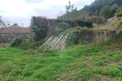Helårsgrund i Ponte de Lima, Viana do Castelo, Ponte de Lima - € 69.000 | Ref: 123331167-472 - foto 7