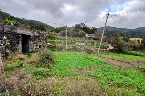 Helårsgrund i Ponte de Lima, Viana do Castelo, Ponte de Lima - € 69.000 | Ref: 123331167-472 - foto 9