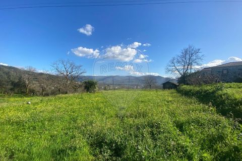 Helårsgrund i Ponte de Lima, Viana do Castelo, Ponte de Lima - € 69.000 | Ref: 123331167-472 - foto 2