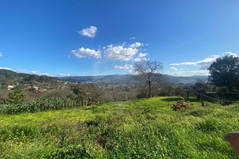 Helårsgrund i Ponte de Lima, Viana do Castelo, Ponte de Lima - € 69.000 | Ref: 123331167-472 - foto 4