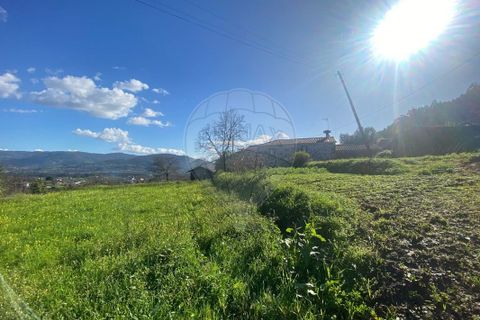 Helårsgrund i Ponte de Lima, Viana do Castelo, Ponte de Lima - € 69.000 | Ref: 123331167-472 - foto 6
