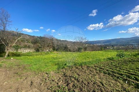 Helårsgrund i Ponte de Lima, Viana do Castelo, Ponte de Lima - € 69.000 | Ref: 123331167-472 - foto 10