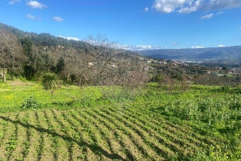 Helårsgrund i Ponte de Lima, Viana do Castelo, Ponte de Lima - € 69.000 | Ref: 123331167-472 - foto 12