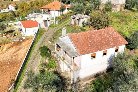 Villa i Celorico de Basto, Braga, Celorico de Basto - € 107.000 | Ref: 126311008-23 - foto 4