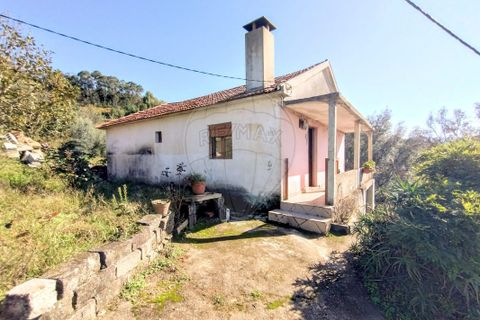 Villa i Celorico de Basto, Braga, Celorico de Basto - € 107.000 | Ref: 126311008-23 - foto 5