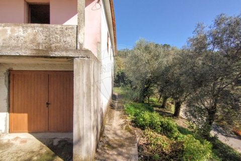 Villa i Celorico de Basto, Braga, Celorico de Basto - € 107.000 | Ref: 126311008-23 - foto 8