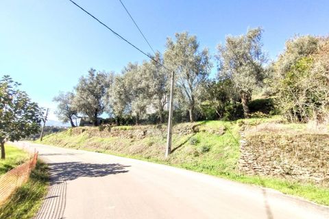 Villa i Celorico de Basto, Braga, Celorico de Basto - € 107.000 | Ref: 126311008-23 - foto 9